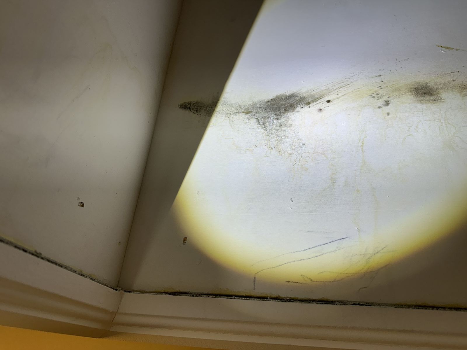 Mold at the attic access hatch found during a brand new home inspection in Findley Creek, Ottawa