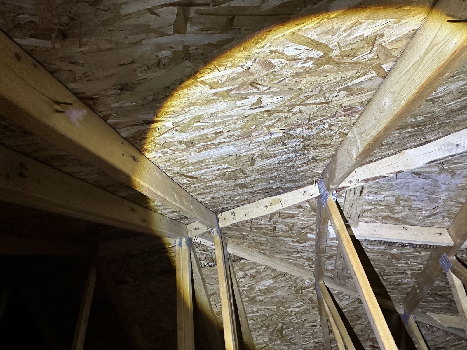 Widespread roof sheathing mold found during a brand new home inspection in Findley Creek, Ottawa