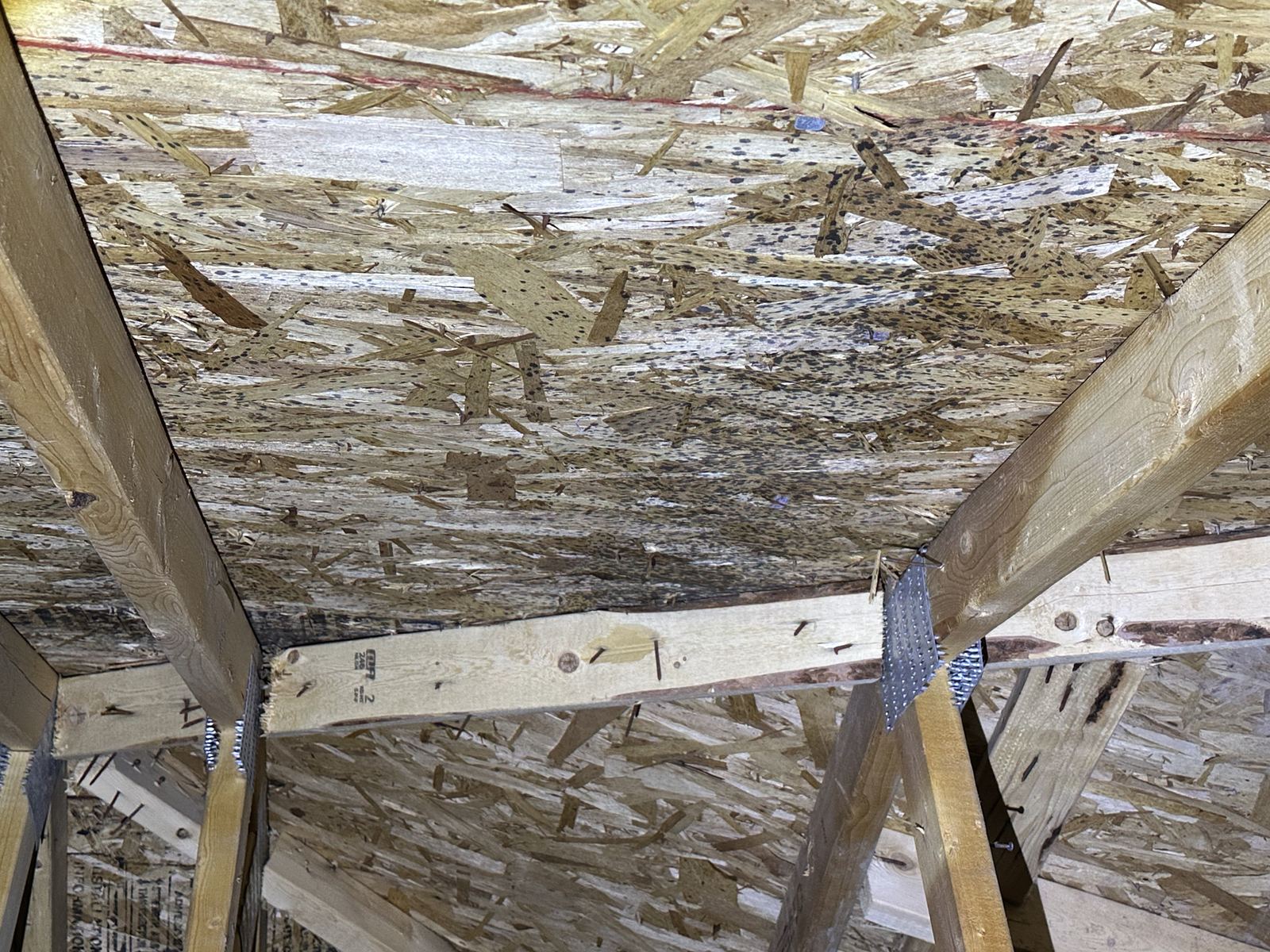 Attic roof sheathing mold found during a brand new home inspection in Findley Creek, Ottawa