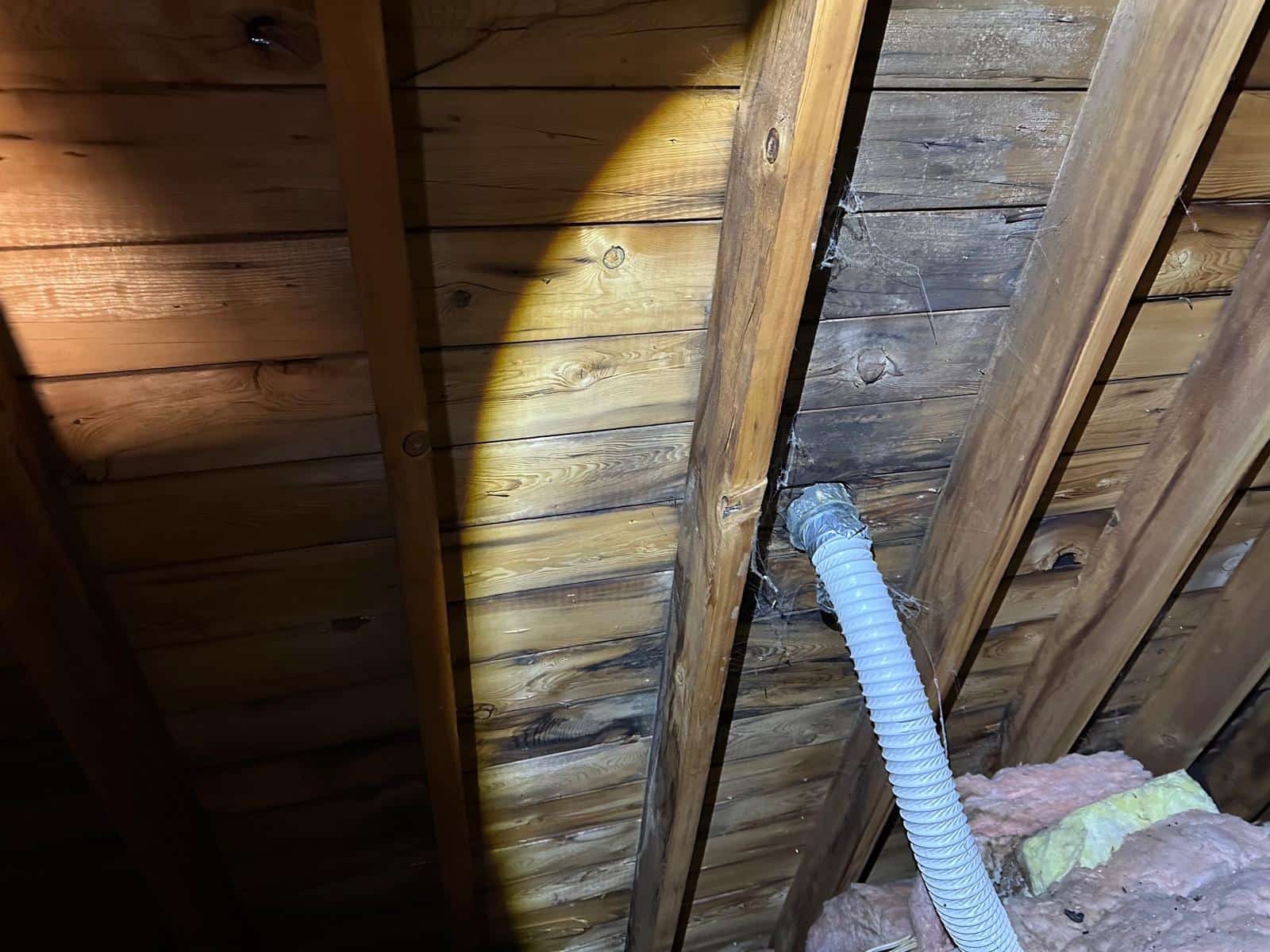 attic inspection finding Ottawa