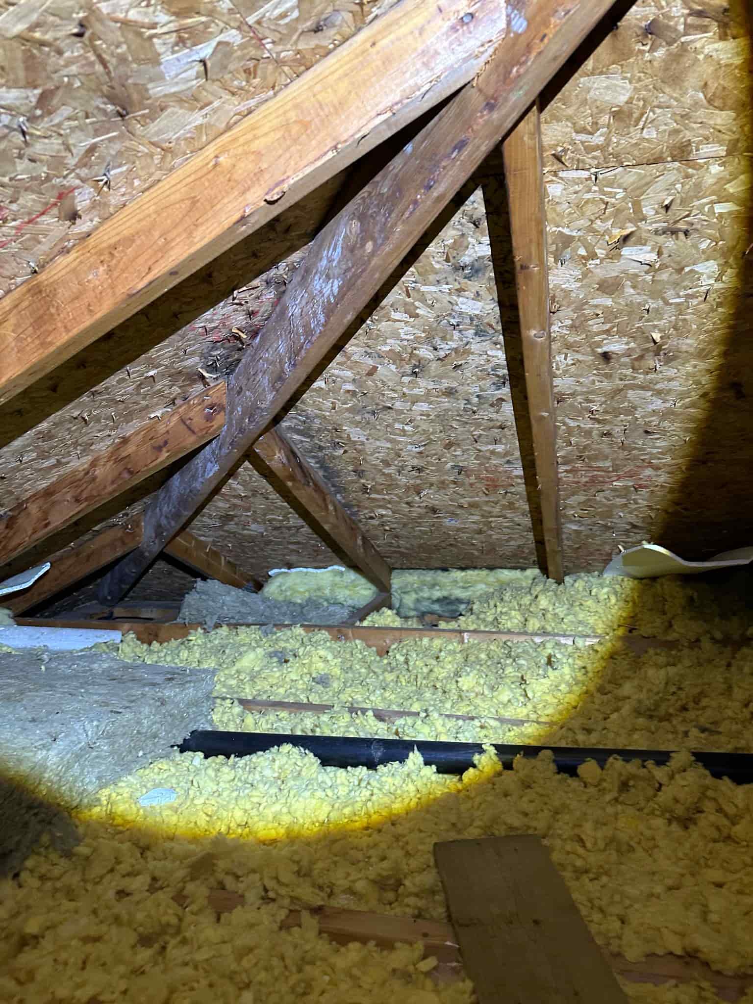 attic inspection finding Ottawa