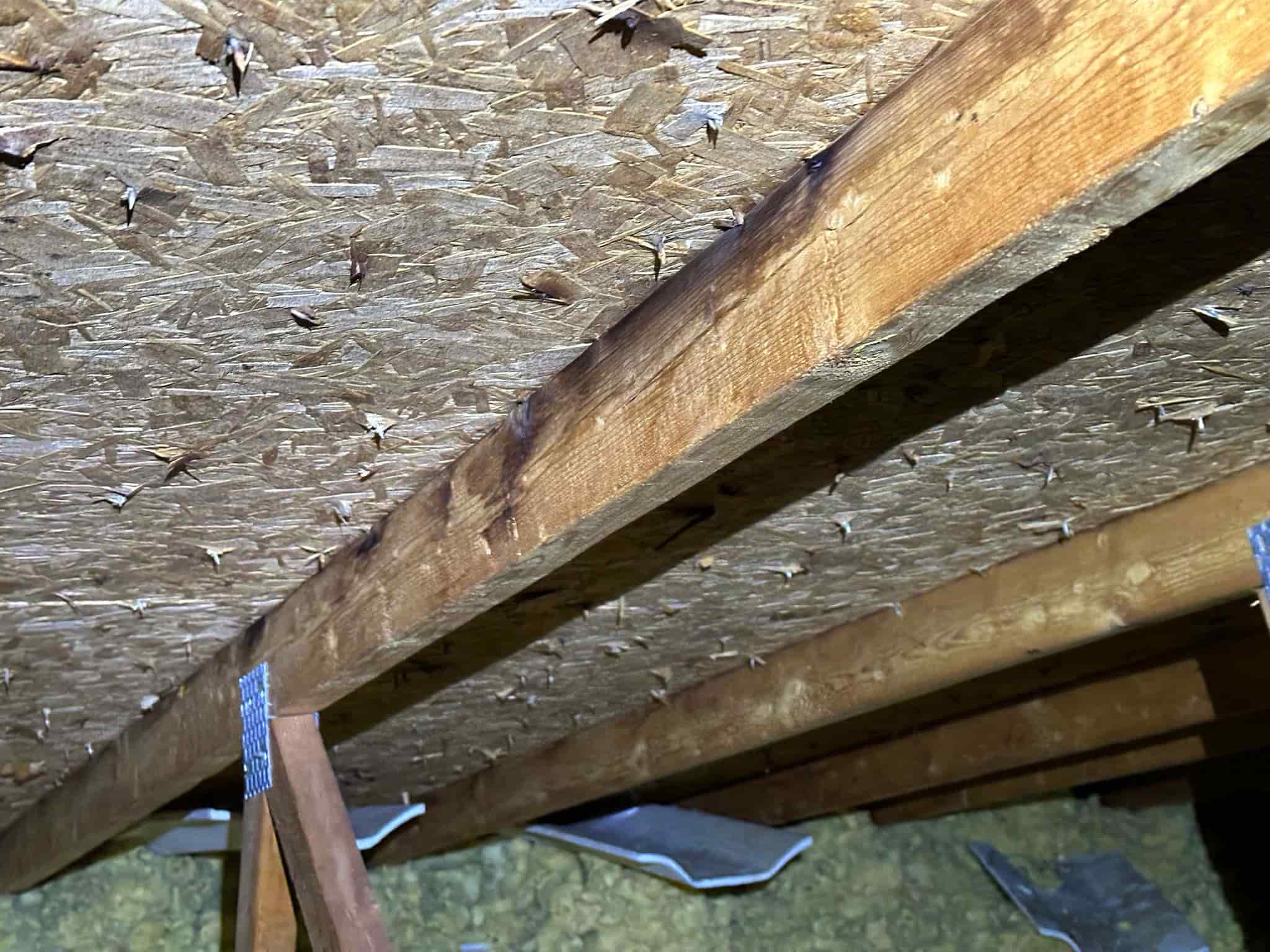 attic inspection finding Ottawa