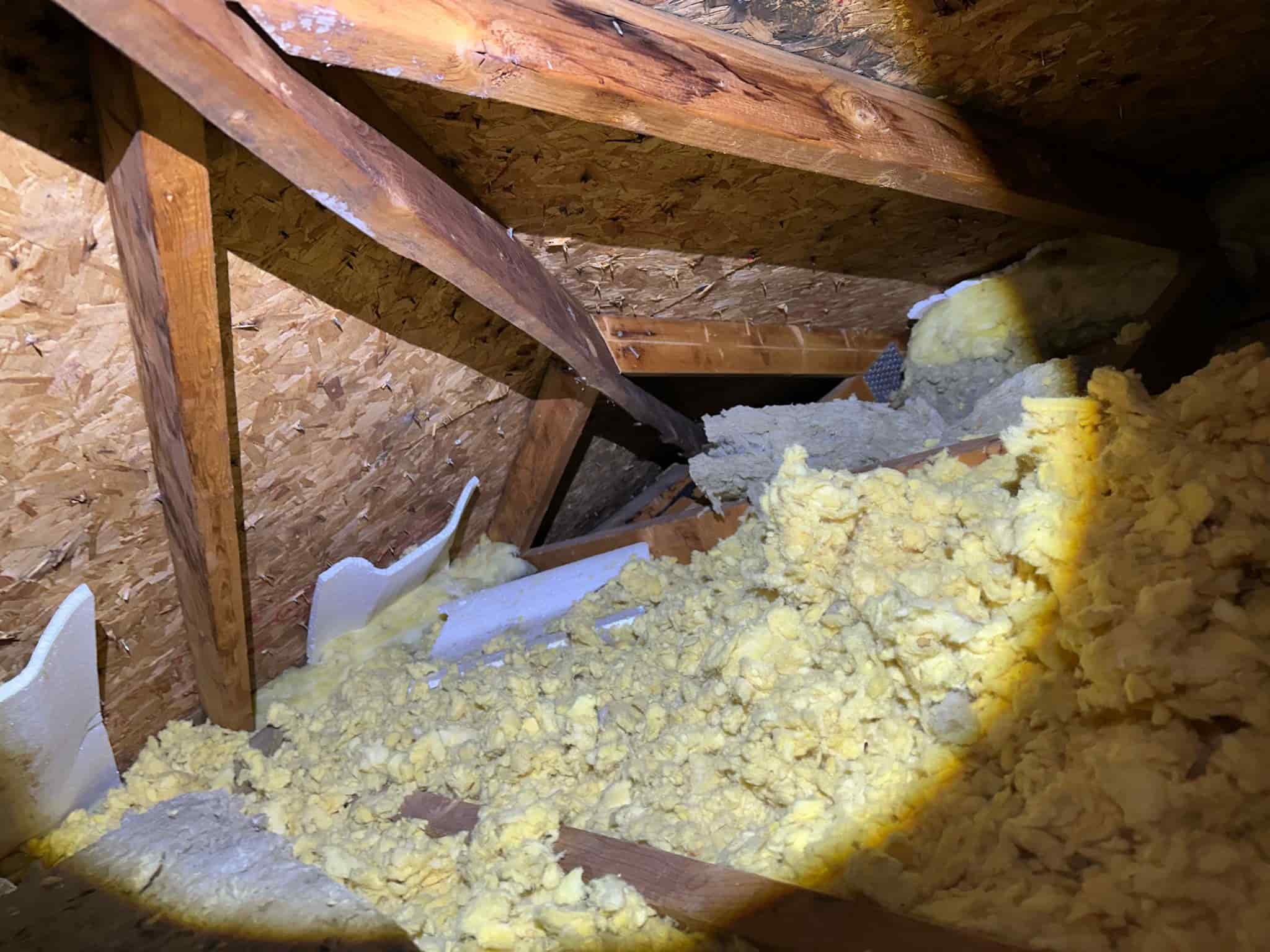 attic inspection finding Ottawa