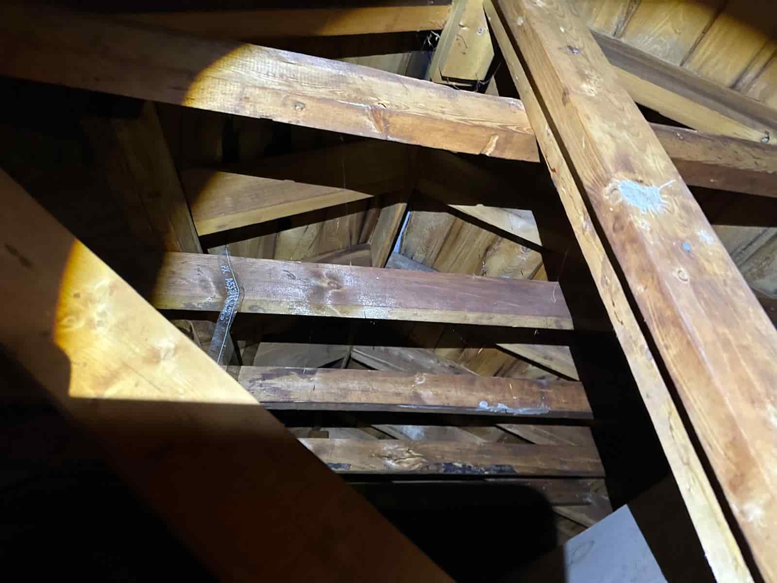 attic inspection finding Ottawa