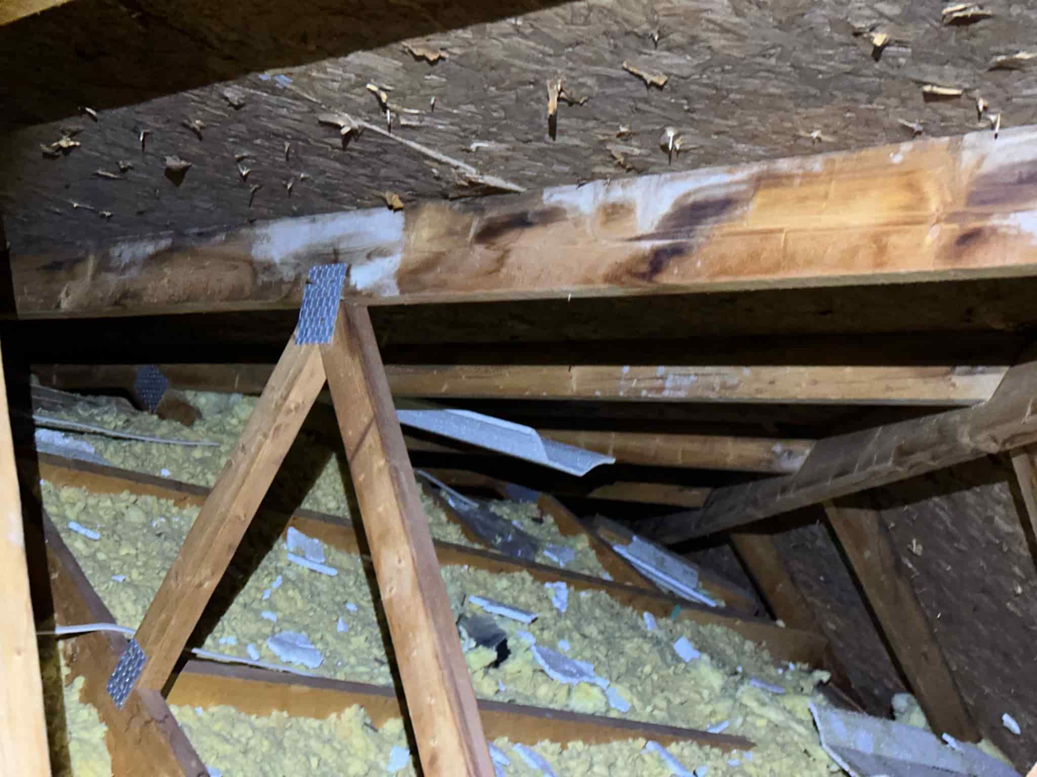 attic inspection finding Ottawa