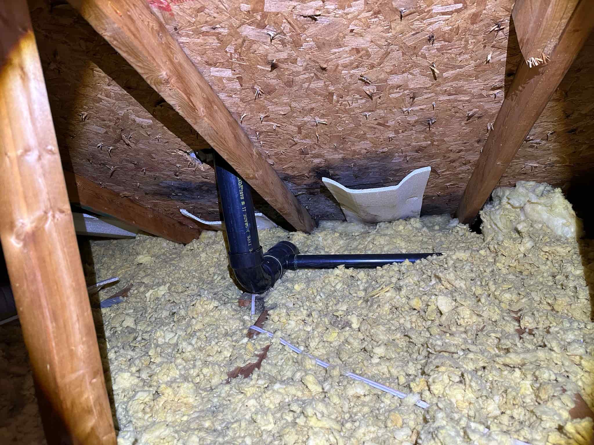 attic inspection finding Ottawa