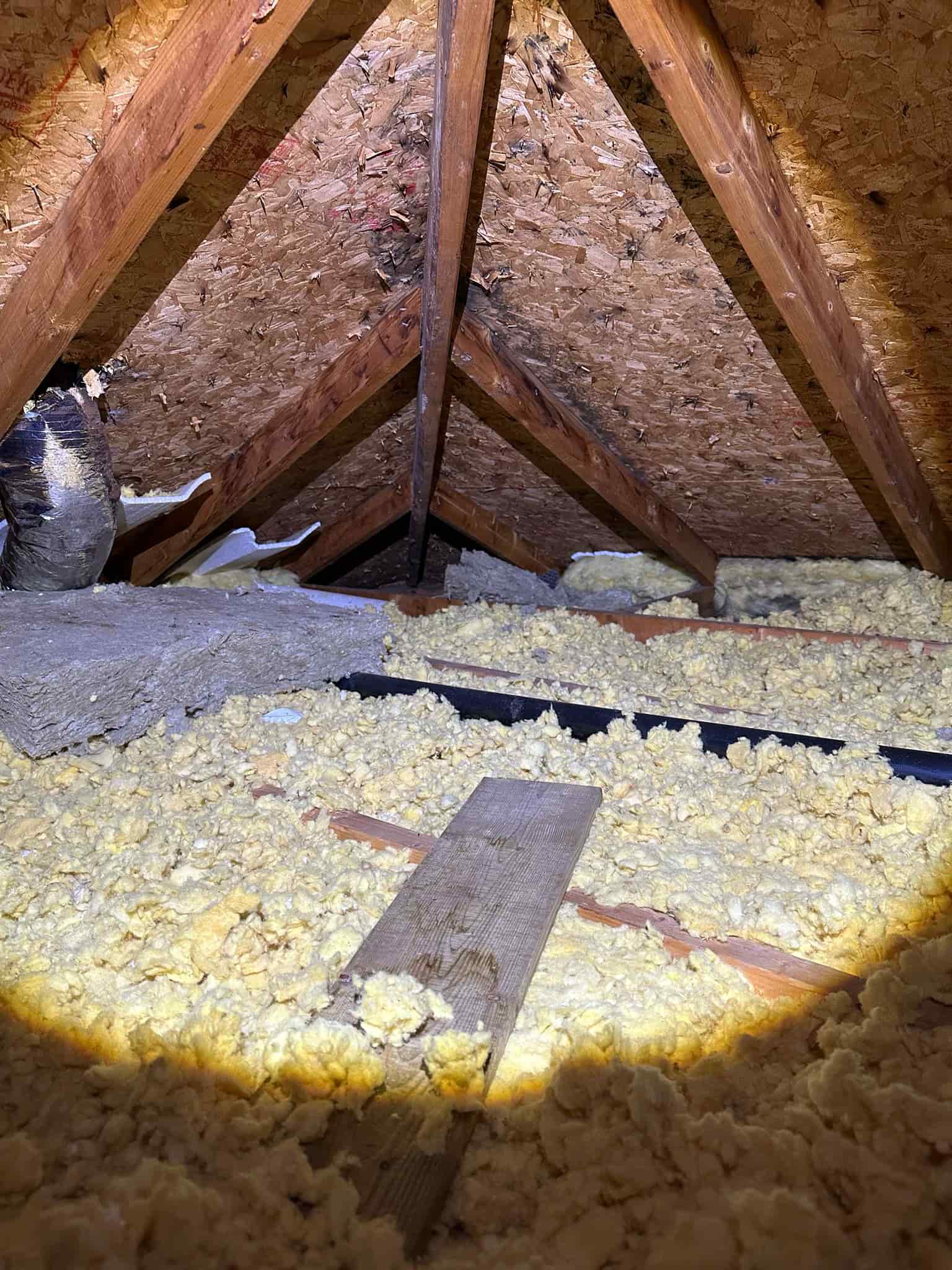 attic inspection finding Ottawa