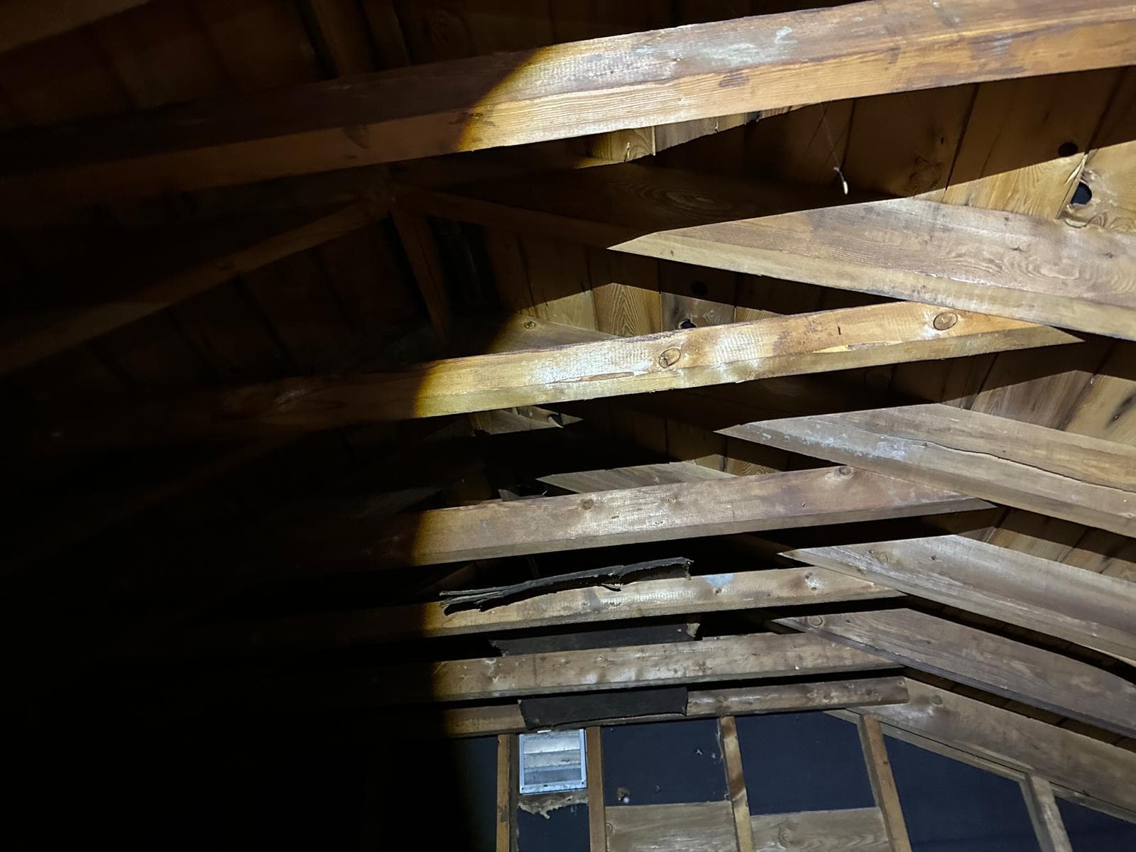 attic inspection finding Ottawa