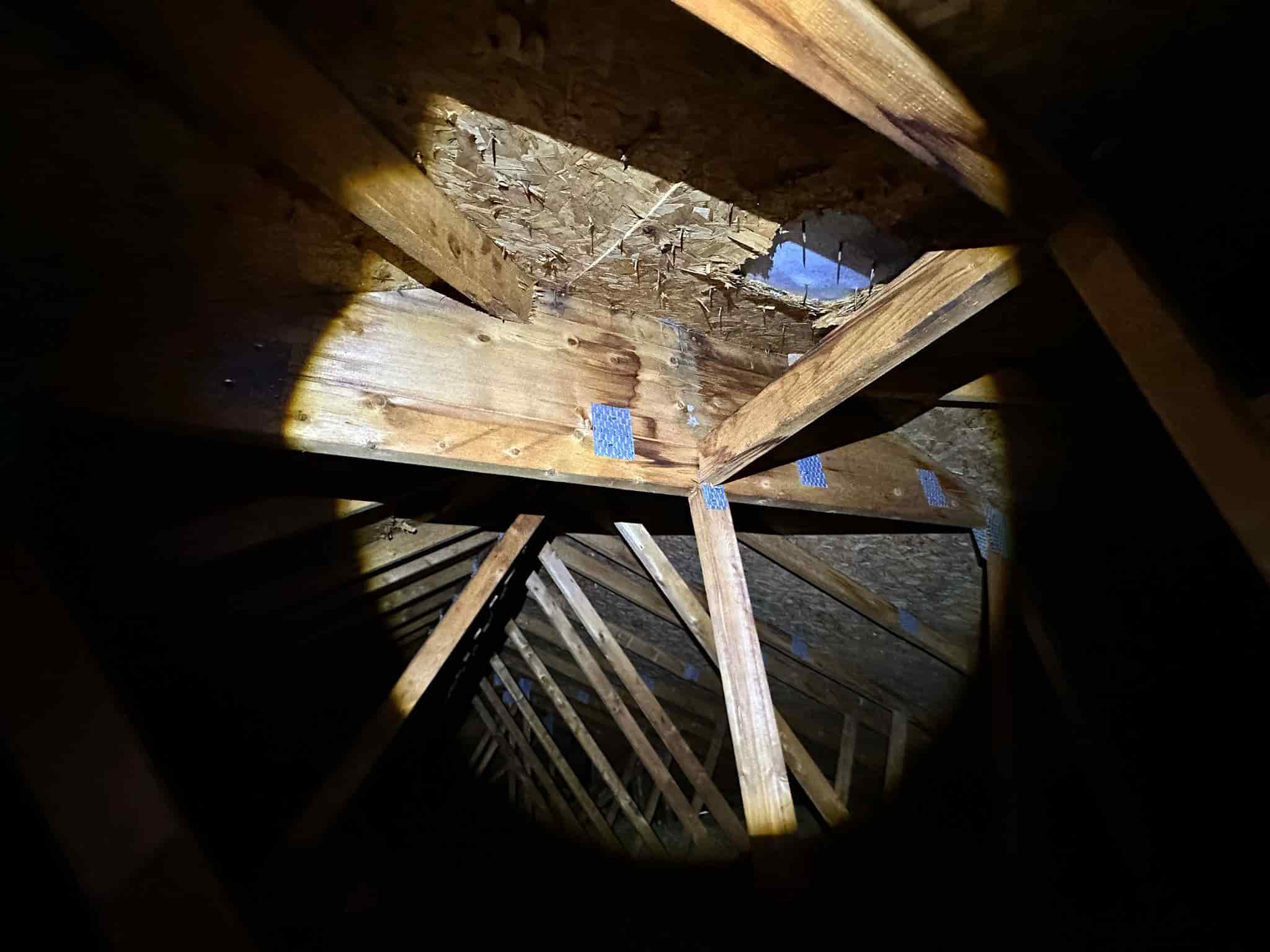 attic inspection finding Ottawa