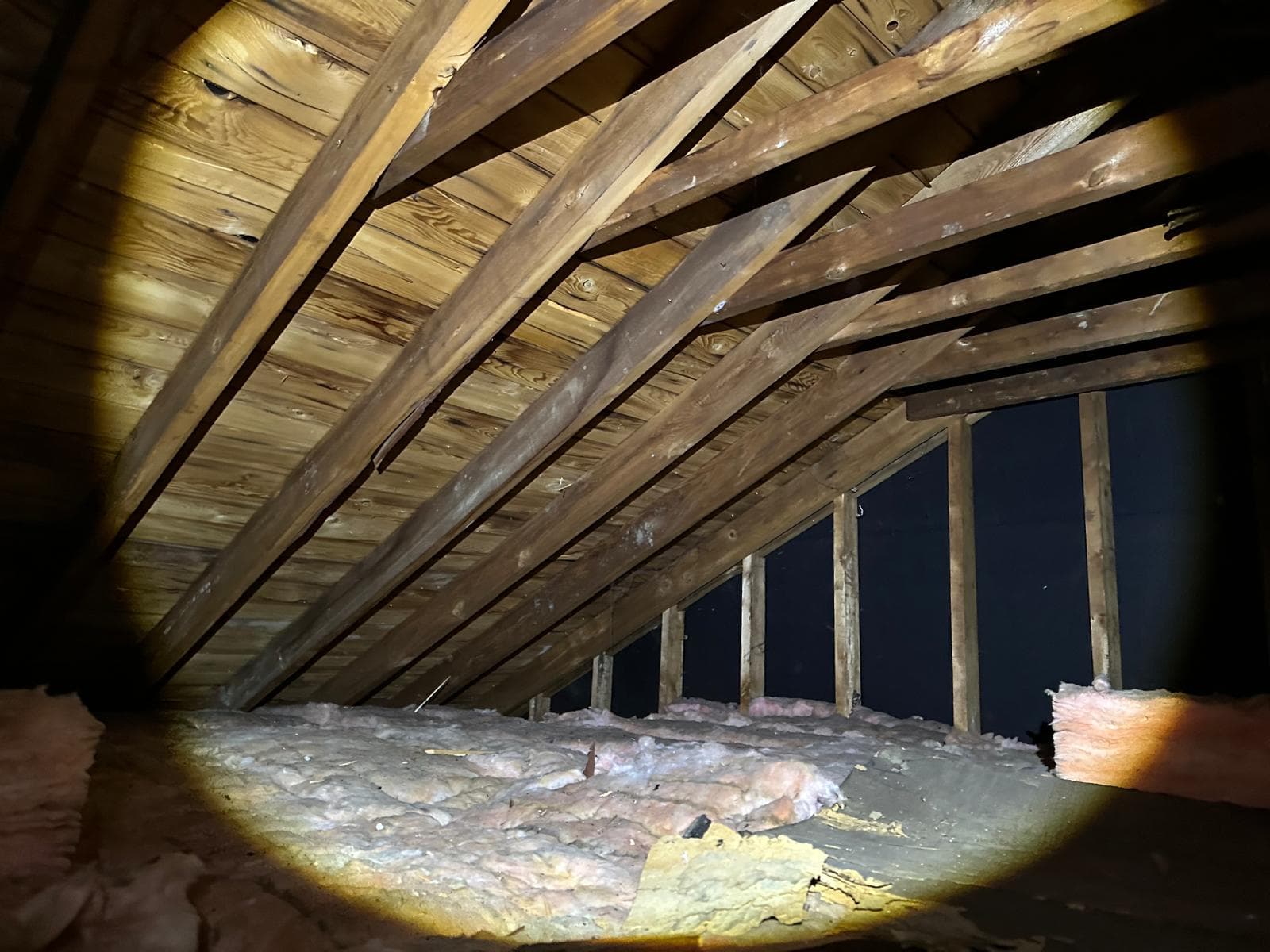 attic inspection finding Ottawa