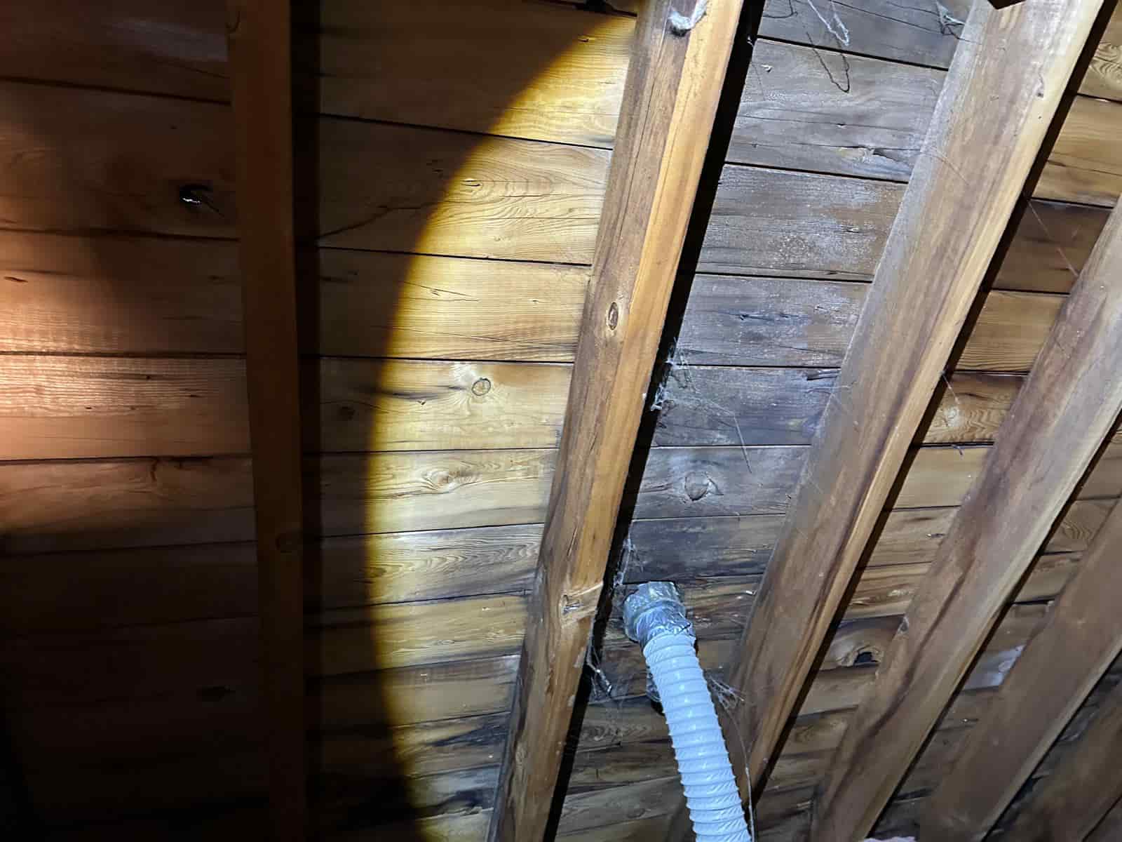 attic inspection finding Ottawa