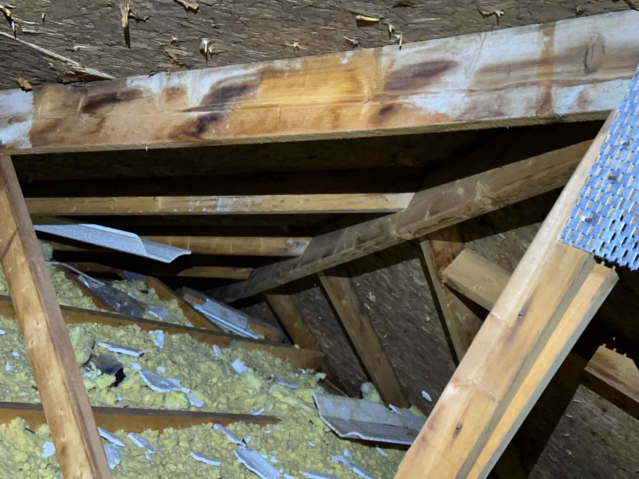 attic inspection finding Ottawa