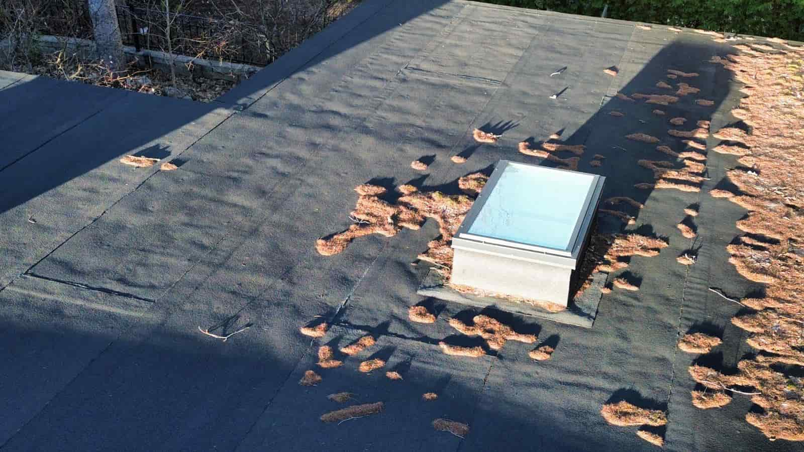 roof inspection finding Ottawa