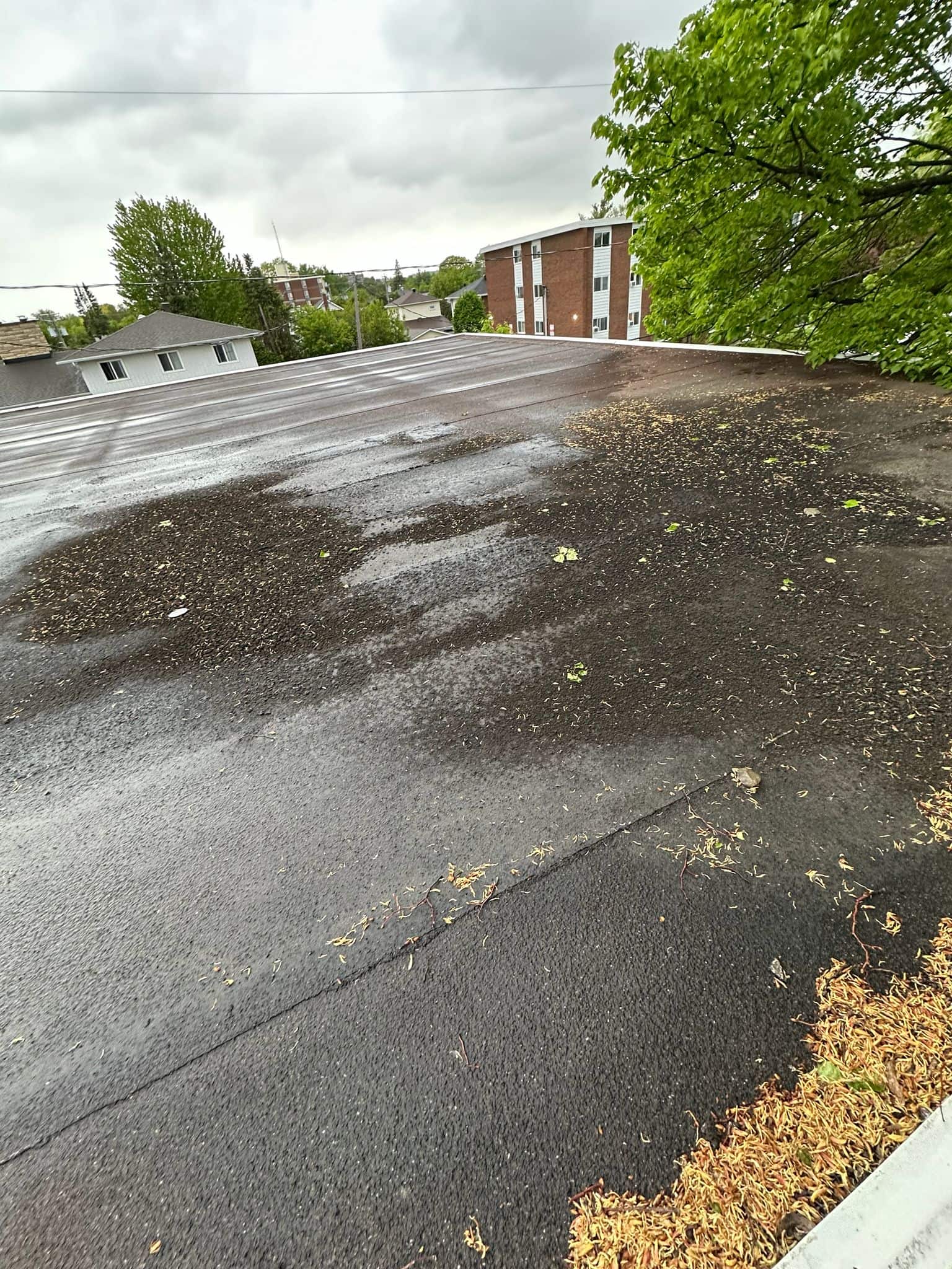 roof inspection finding Ottawa