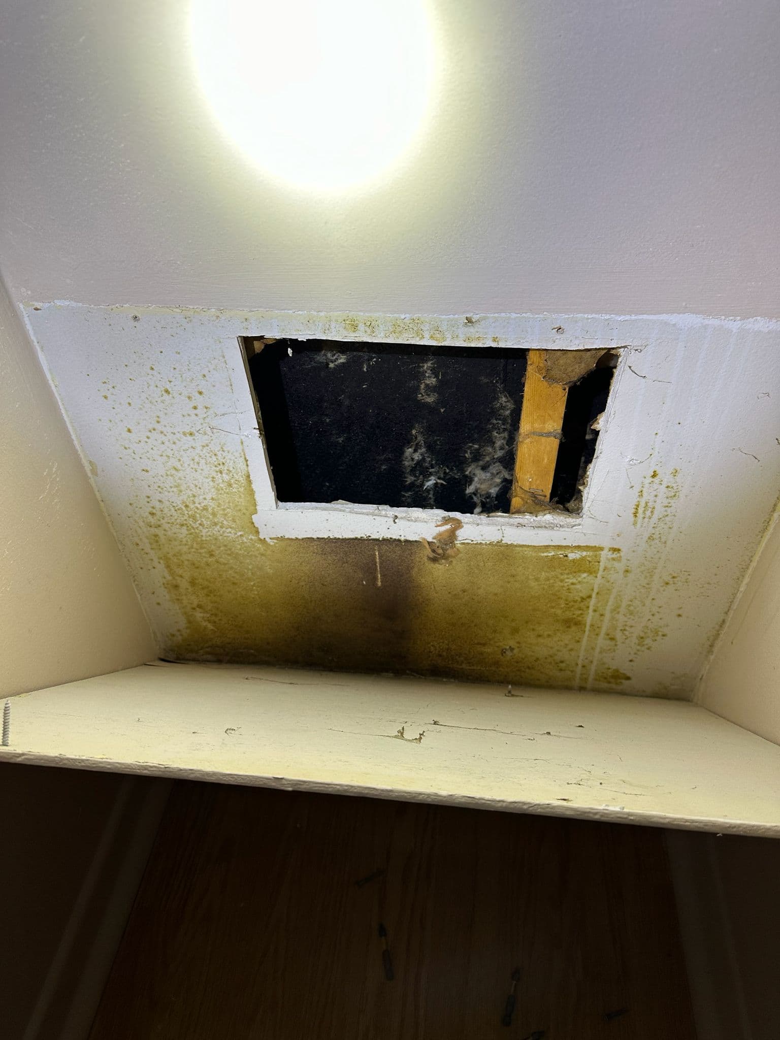 interior inspection finding Ottawa home