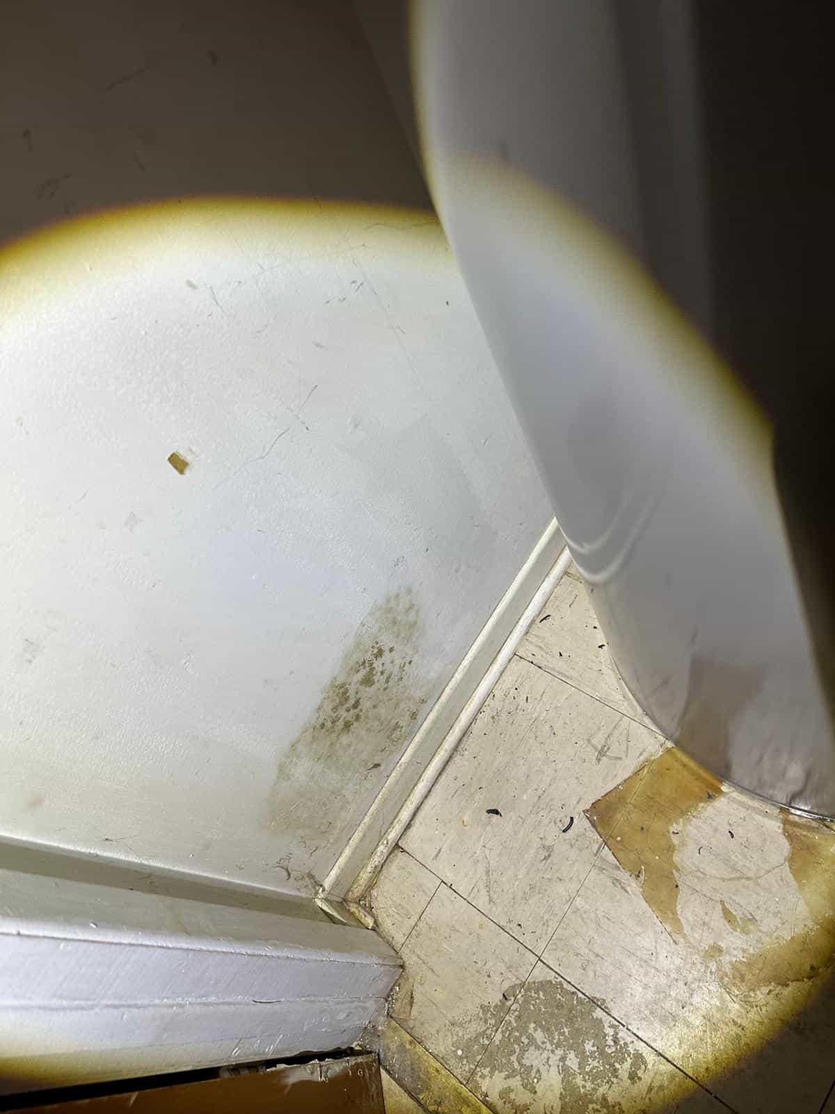 interior inspection finding Ottawa home